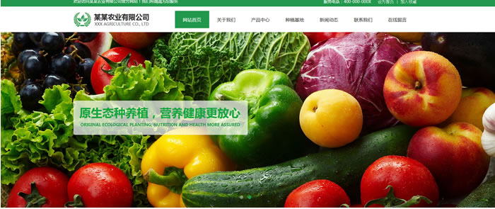 农业农贸网站模板T10181.jpg 农业农贸网站模板T10181.jpg